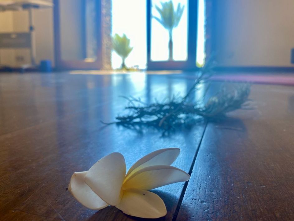 SAKTI YOGA - Bildungsurlaub Yoga und die Sinne auf La Gomera im September 2026