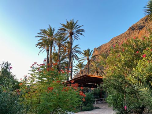 SAKTI YOGA - Bildungsurlaub Yoga und die Sinne auf La Gomera im September 2026