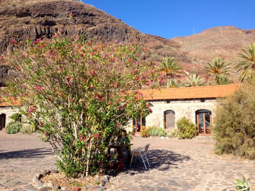 SAKTI YOGA - Bildungsurlaub Yoga und die Sinne auf La Gomera im August 2027