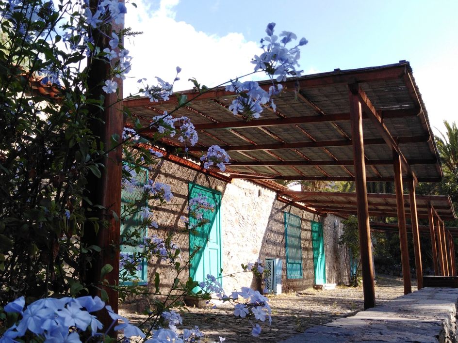 SAKTI YOGA - Bildungsurlaub Yogawoche auf La Gomera im März 2027