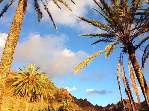 SAKTI YOGA - Bildungsurlaub Yogawoche auf La Gomera im März 2027