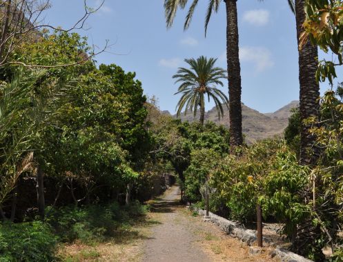 SAKTI YOGA - Bildungsurlaub Yogawoche auf La Gomera im März 2027