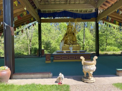Life Innovation Mindset - Isa Zöller - Bildungsurlaub Buddhas Weg – Odenwald bei Heidelberg/ Work-Life-Design im April 2027 (Wald MIchelbach)