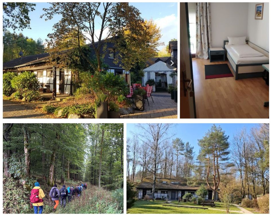 Reloaded Gesundheit Prävention · Coaching Sabine Maria Dörr - Bildungsurlaub Waldbaden – Shinrin Yoku, der Wald als Therapeut!  (Grünberg)