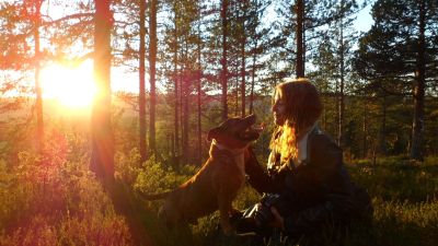 kurs