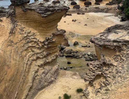 Deutsche Akademie für Waldbaden und Gesundheit - Bildungsurlaub 2027 | Bildungsurlaub Taiwan: Stressprävention & mentale Gesundheit