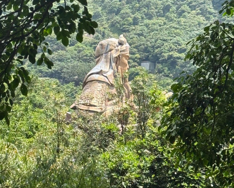 Deutsche Akademie für Waldbaden und Gesundheit - Bildungsurlaub 2027 | Bildungsurlaub Taiwan: Stressprävention & mentale Gesundheit