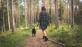 kurs