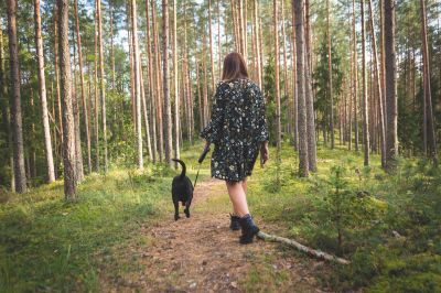 kurs