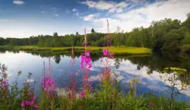 kurs