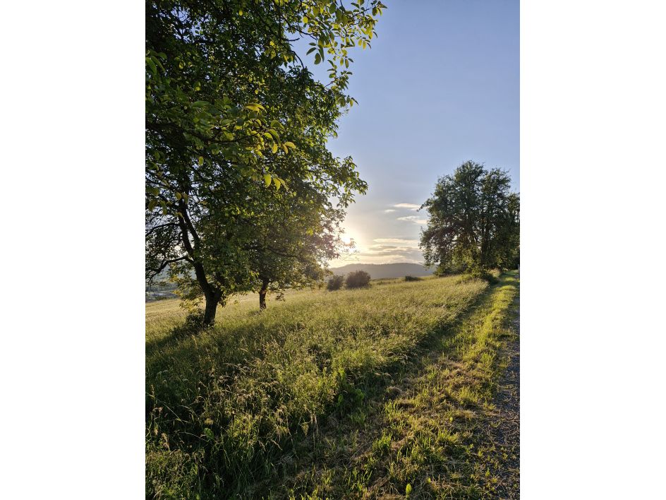 Naturheilpraxis & Yogaschule am Hengstbach - Bildungsurlaub Wandern, Yoga & Achtsamkeit in der Rhön