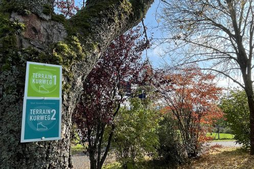Naturheilpraxis & Yogaschule am Hengstbach - Bildungsurlaub Fit für den Job! Yoga & Achtsamkeit meets Pilates & Waldbaden