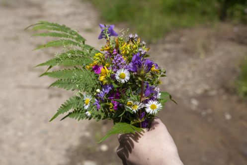 Naturheilpraxis & Yogaschule am Hengstbach - Bildungsurlaub Wandern & Yoga in Oberstdorf (Allgäu)