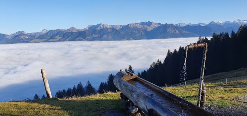 Naturheilpraxis & Yogaschule am Hengstbach - Bildungsurlaub Wandern & Yoga in Oberstdorf (Allgäu)