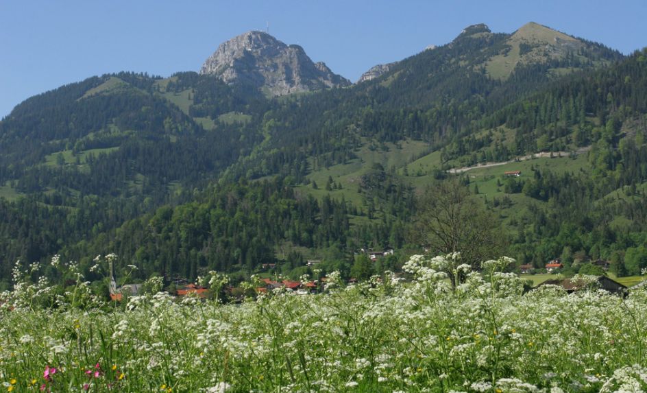 Naturheilpraxis & Yogaschule am Hengstbach - Bildungsurlaub Outdoor-Yoga-Bildungsurlaub in den Alpen