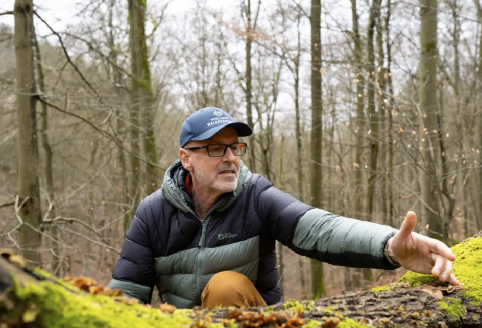 Wohllebens Waldakademie GmbH & Co. KG - Bildungsurlaub Intensivseminar: Ökologische Waldbewirtschaftung