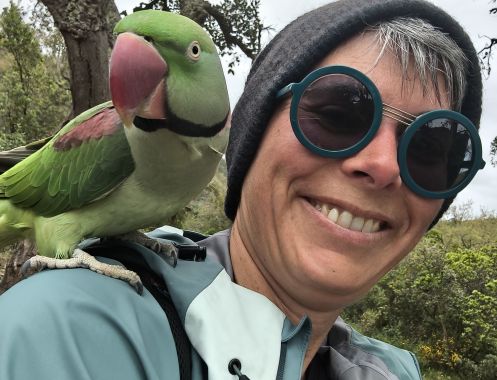 Yvonne Braun WOOD-YOGA Gesundheit & Vorsorge - Bildungsurlaub Wechseljahre verändern Entscheiderinnen: Her MenoTreat goes Portugal – Peri/Menopause at Work –How to Make Better Decisions During Menopause