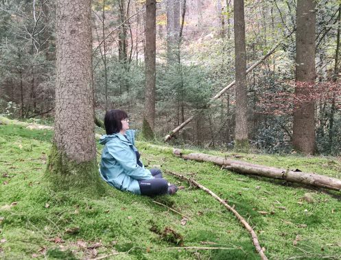 Yvonne Braun WOOD-YOGA Gesundheit & Vorsorge - Bildungsurlaub Wechseljahre verändern Entscheiderinnen: Her MenoTreat – Peri/Menopause  at Work –How to Make Better Decisions During Menopause