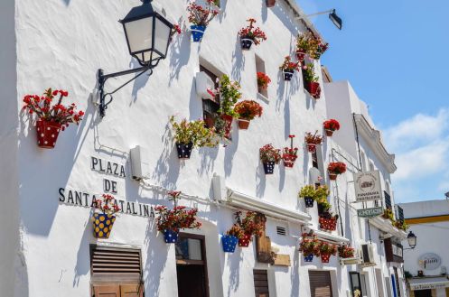 Academia Andaluza de Idiomas - Bildungsurlaub Spanisch Superintensivkurs INKLUSIVE UNTERKUNFT in Conil (Costa de la Luz) 1 Woche