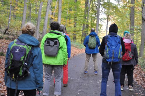 Institut für Teamkultur - Bildungsurlaub Resilienz stärken  in Beruf und Alltag mit Qigong und achtsames Naturerleben