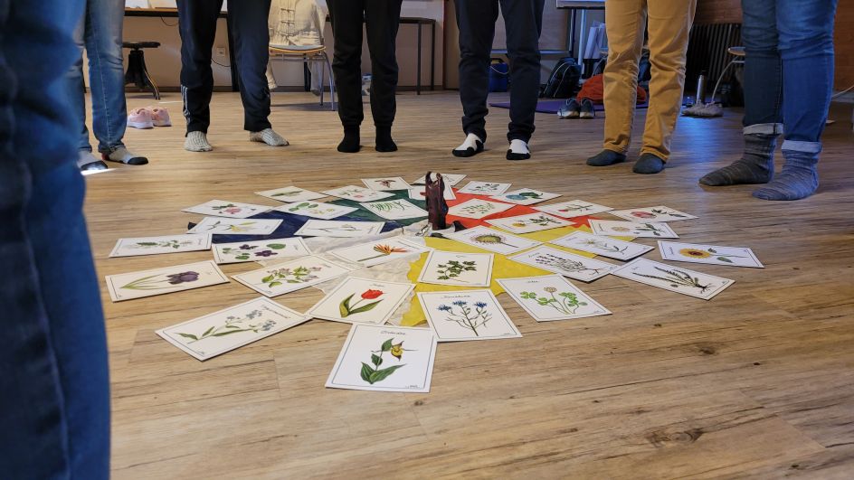 Institut für Teamkultur - Bildungsurlaub Resilienz stärken  in Beruf und Alltag mit Qigong und achtsames Naturerleben