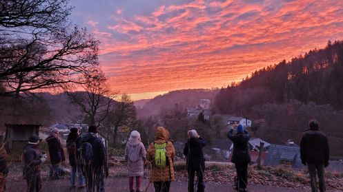 Institut für Teamkultur - Bildungsurlaub Resilienz stärken  in Beruf und Alltag mit Qigong und achtsames Naturerleben