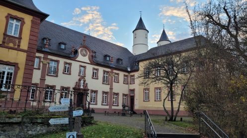 Institut für Teamkultur - Bildungsurlaub Resilienz stärken  in Beruf und Alltag mit Qigong und achtsames Naturerleben