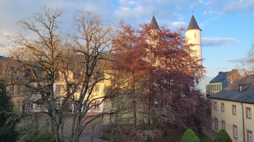 Institut für Teamkultur - Bildungsurlaub Resilienz stärken  in Beruf und Alltag mit Qigong und achtsames Naturerleben
