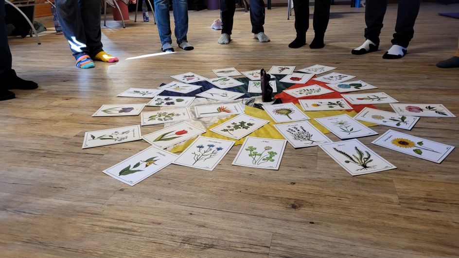 Institut für Teamkultur - Bildungsurlaub Gesundheitscoaching und Qigong
