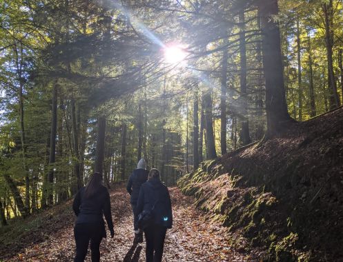 TimeOut- Akademie Martina Jörg-Schreder - Bildungsurlaub “Stress bewältigen und auf Knopfdruck entspannen” 3 Tages-Bildungsurlaub im Kloster Himmerod/ Eifel