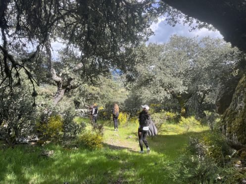 Danila Koard - Bildungsurlaub Entwickle deinen ganz persönlichen Führungsstil basierend auf deinen individuellen Stärken in Spanien