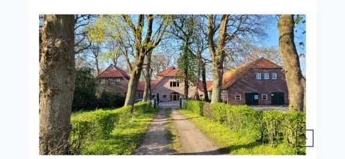 Gallery Vorschau
