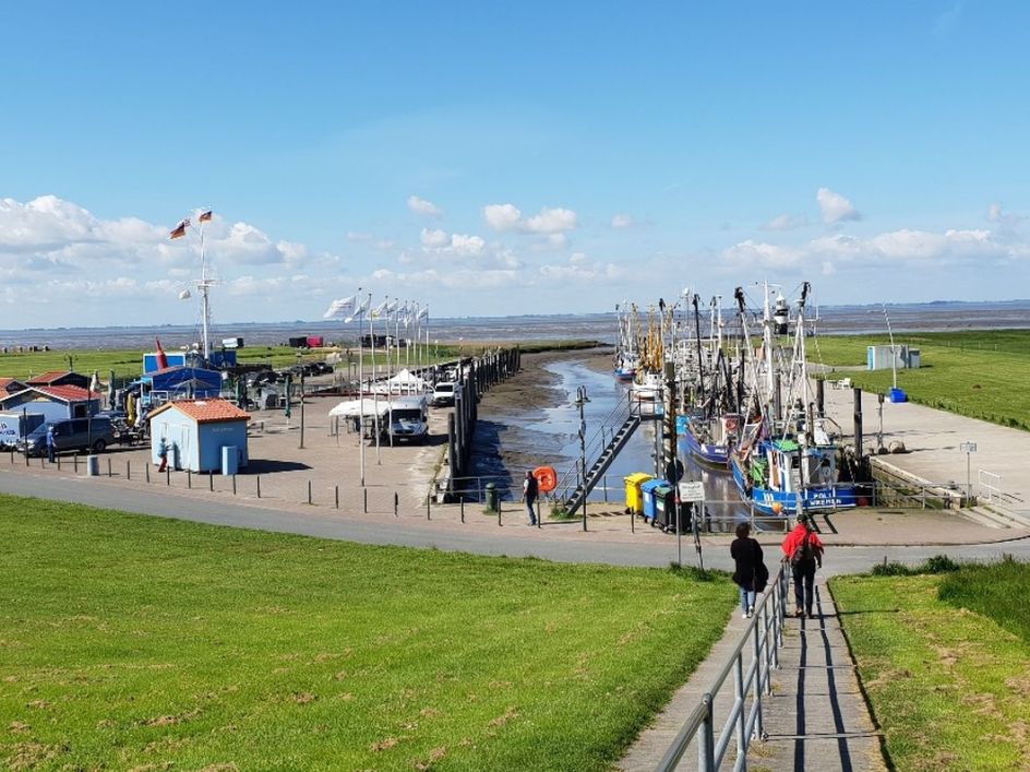 Dr. Joanna Wengrzik - Bildungsurlaub Inneren Stress reduzieren – an der Nordsee