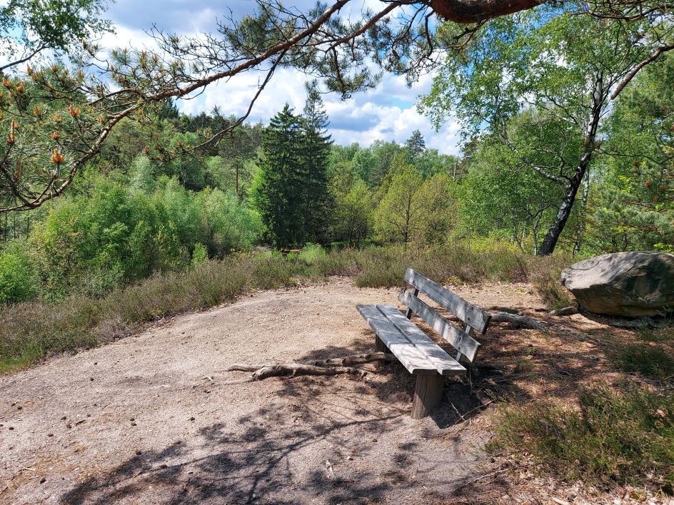 Dr. Joanna Wengrzik - Bildungsurlaub Inneren Stress reduzieren – in der Lüneburger Heide