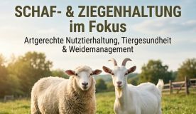 kurs