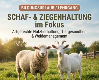kurs