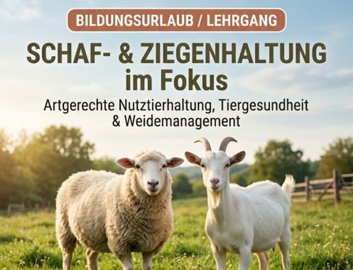 VHS Quickborn - Bildungsurlaub Sachkunde & Praxis der Schaf- und Ziegenhaltung – Bildungsurlaub zur Artgerechten Nutztierhaltung und nachhaltigem Herdenmanagement