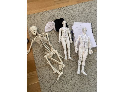 Sitaram Nordfriesland e.V. - Bildungsurlaub YIN YOGA AUSBILDUNG – Achtsamkeit, Stressreduktion und gesundheitsfördernde Körperarbeit im beruflichen Kontext