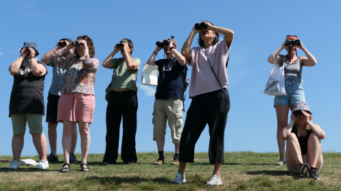 Schierlicht - Bildung + Urlaub + Inspiration - Bildungsurlaub Die Vogelperspektive – Resilienz im Berufsalltag und europäische Umweltpolitik (NL/DE/EU) auf der Nordseeinsel Schiermonnikoog  –  2706VOGEL01