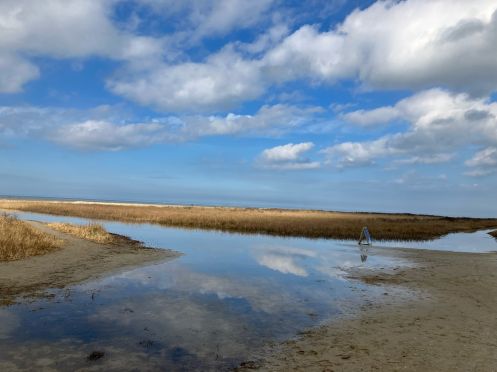 Schierlicht - Bildung + Urlaub + Inspiration - Bildungsurlaub Vital durch den Winter mit Achtsamkeit und Suppen_Fasten* – Dein Bildungsurlaub auf der Nordseeinsel Schiermonnikoog – 26BUF9