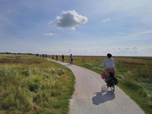 Schierlicht - Bildung + Urlaub + Inspiration - Bildungsurlaub Körperliche und mentale Fitness im Beruf: Resilienz, Ergonomie und Stressmanagement – mit deutsch-niederländischem Praxisvergleich auf der Nordseeinsel Schiermonnikoog – 2706FIT01