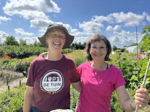 Schierlicht - Bildung + Urlaub + Inspiration - Bildungsurlaub Stressbewältigung und Burnout-Prophylaxe durch Achtsamkeitstraining und Meditation auf der Insel Schiermonnikoog – 27BU34A